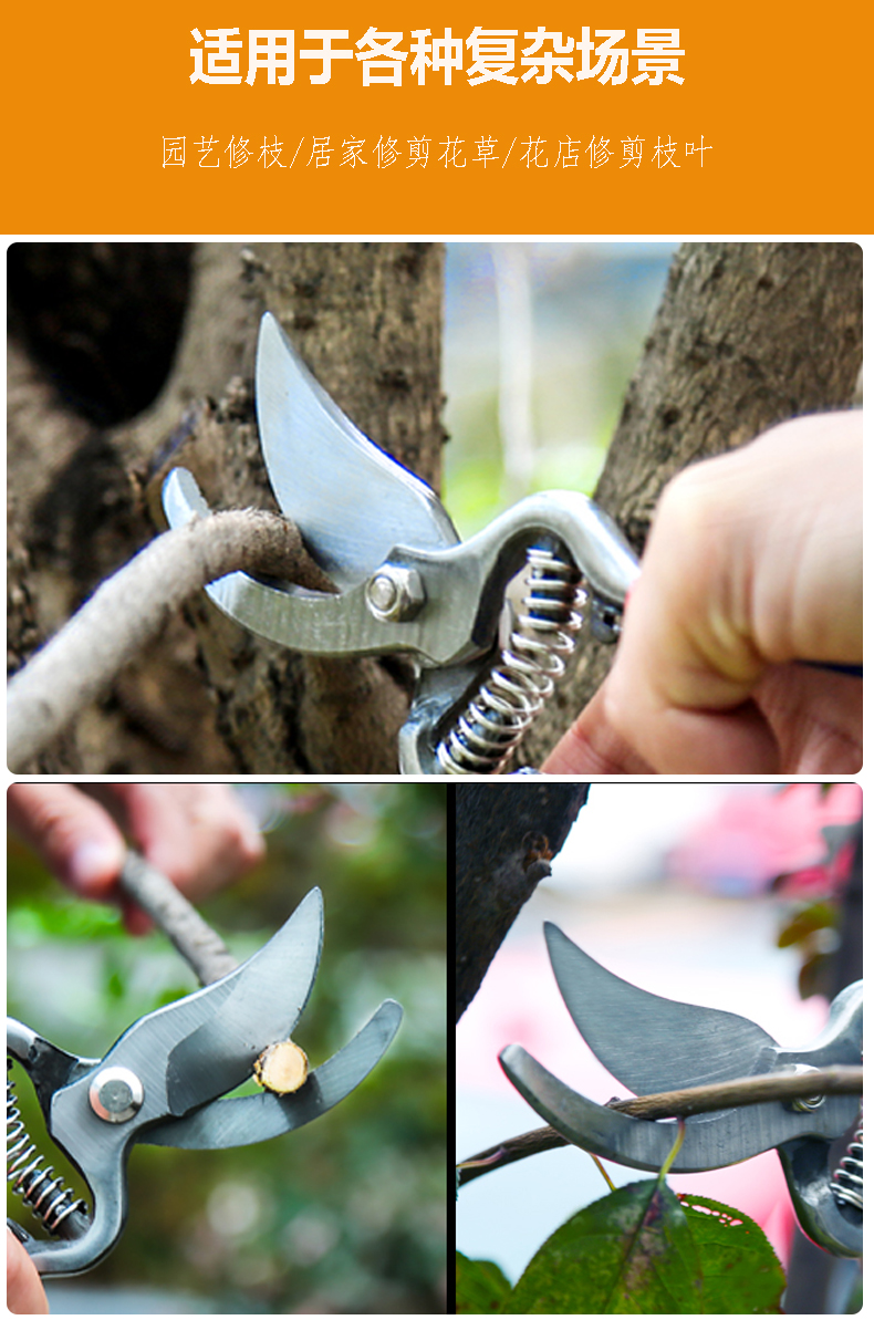 garden shears (1)